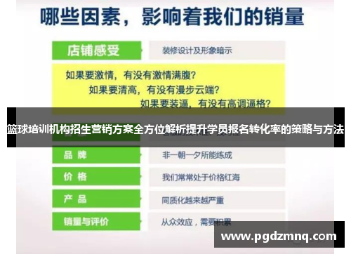 篮球培训机构招生营销方案全方位解析提升学员报名转化率的策略与方法