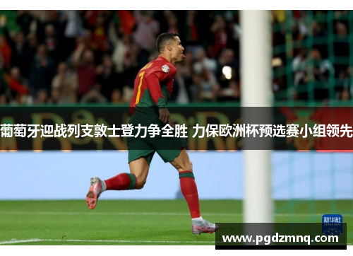 葡萄牙迎战列支敦士登力争全胜 力保欧洲杯预选赛小组领先