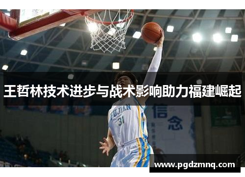 王哲林技术进步与战术影响助力福建崛起