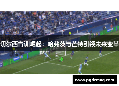 切尔西青训崛起：哈弗茨与芒特引领未来变革