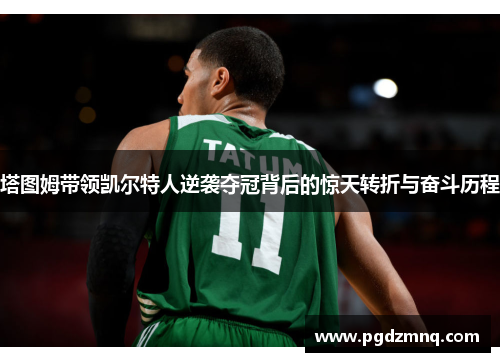 塔图姆带领凯尔特人逆袭夺冠背后的惊天转折与奋斗历程
